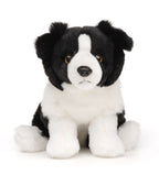 Border Collie Bamse 