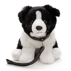 Border Collie Bamse