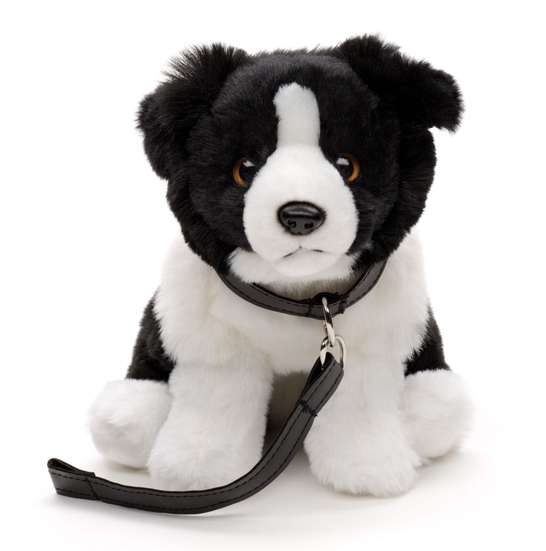 Border Collie Bamse