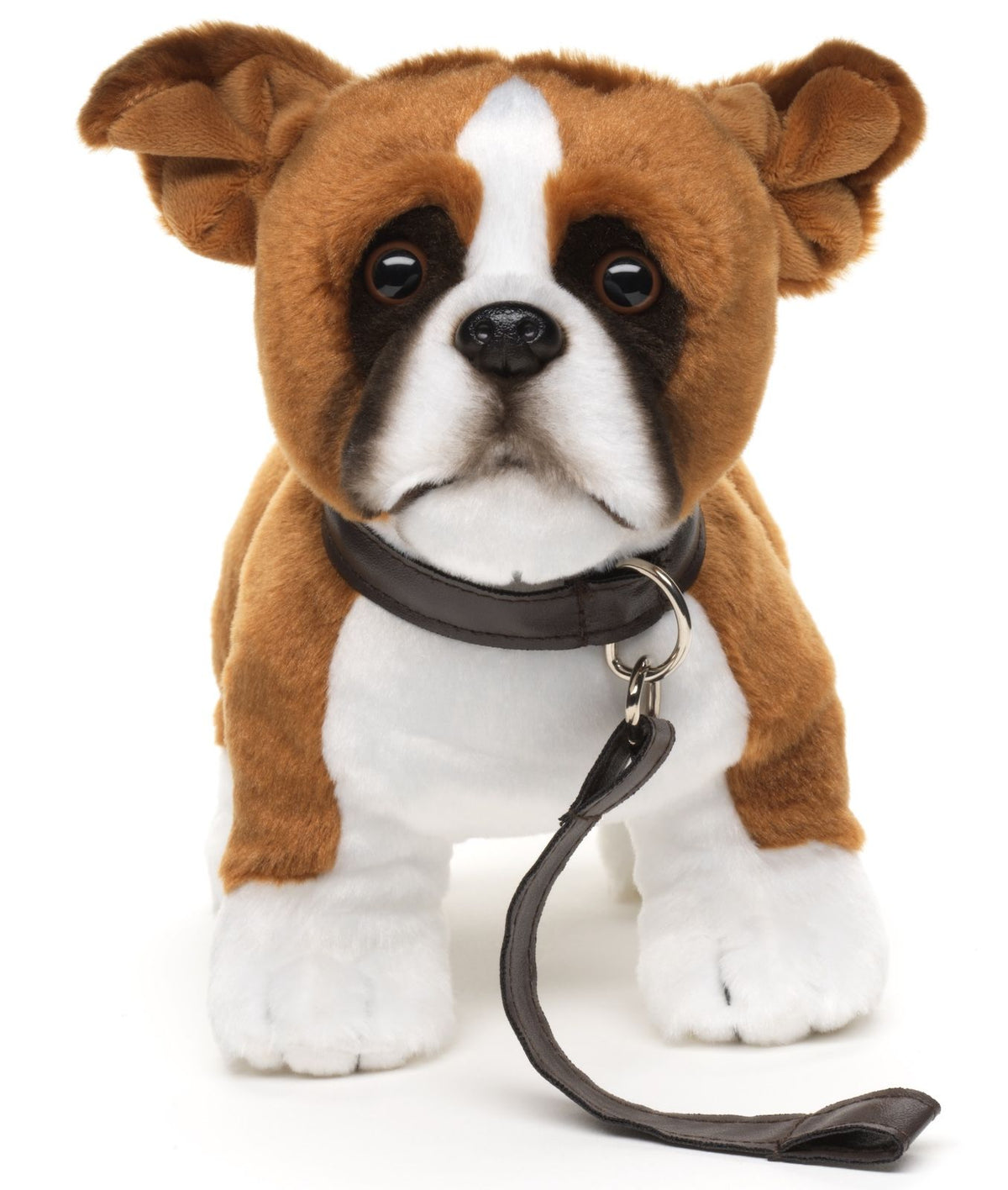 Boxer hund bamse