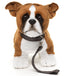 Boxer hund bamse