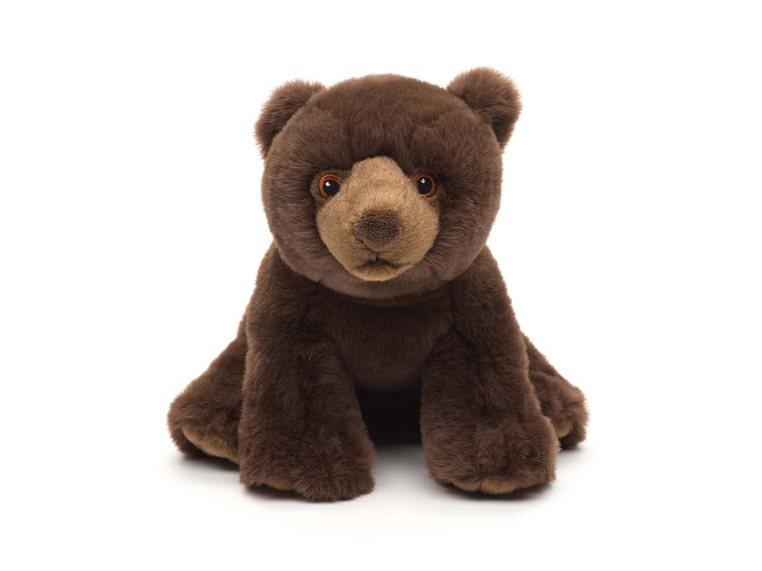 bjørn bamse Hovedbillede