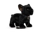 Sort Fransk Bulldog Bamse