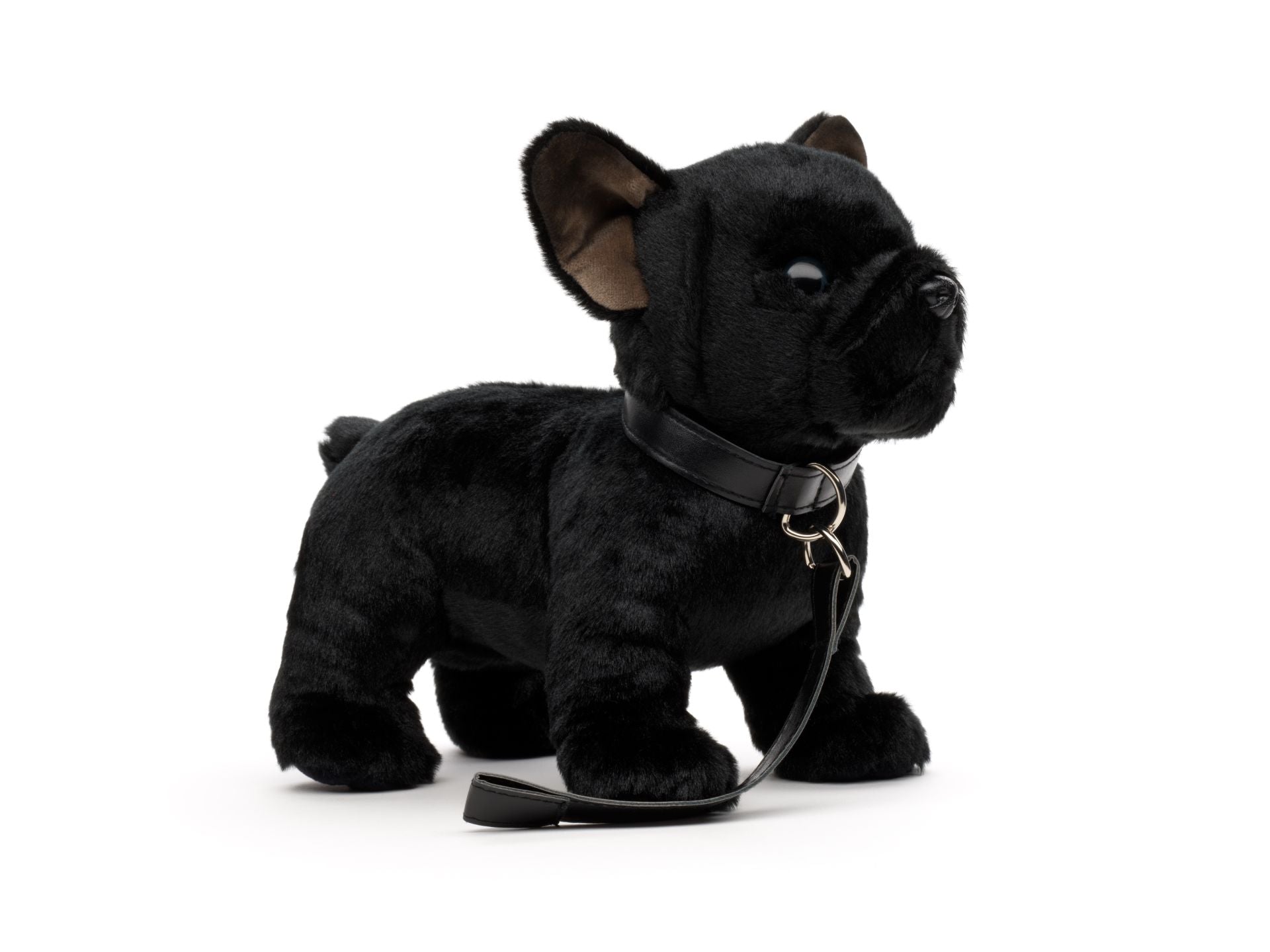Sort Fransk Bulldog Bamse