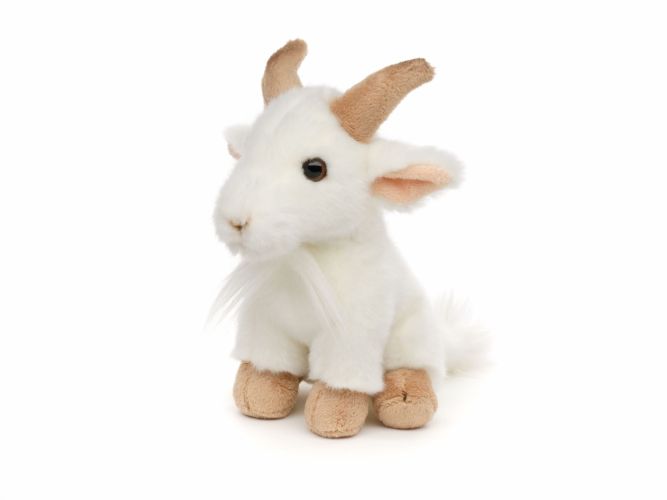 ged tøjdyr Hovedbillede