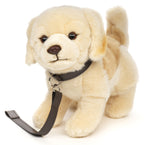 Golden Retriever bamse
