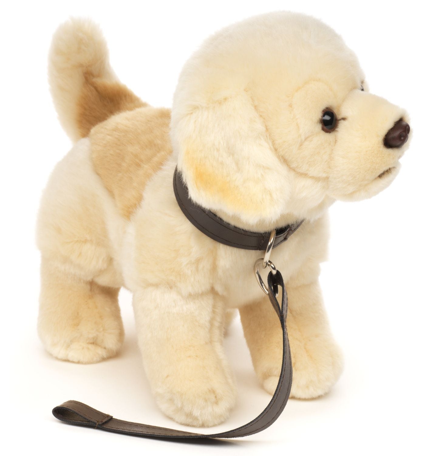 Golden Retriever plysdyr