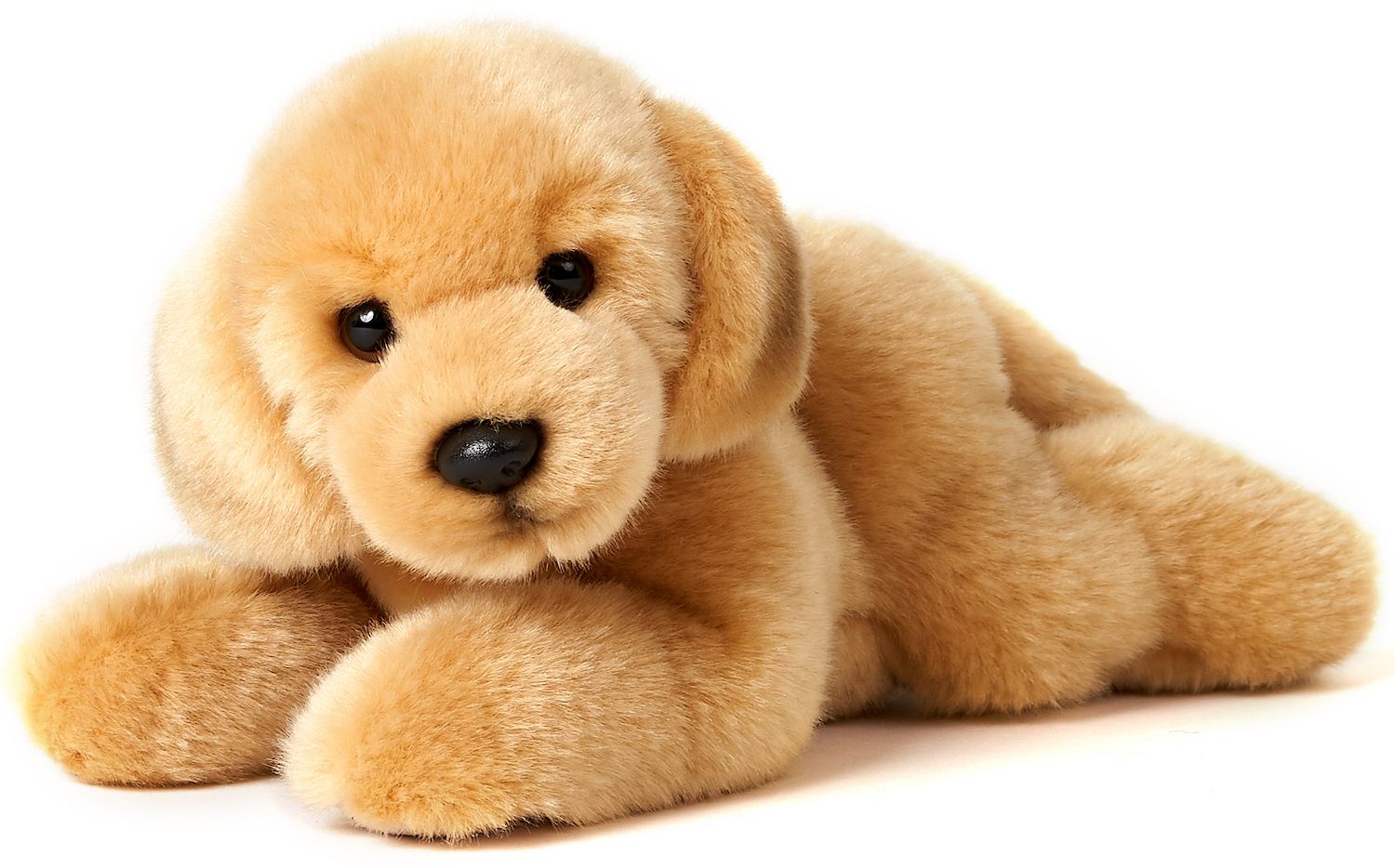 Golden Retriever hvalp bamse