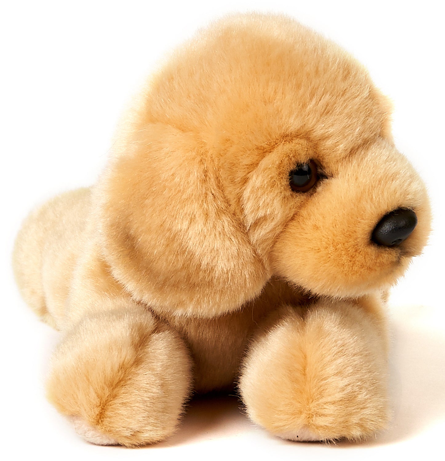 Golden Retriever bamse