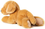 Golden Retriever plysdyr
