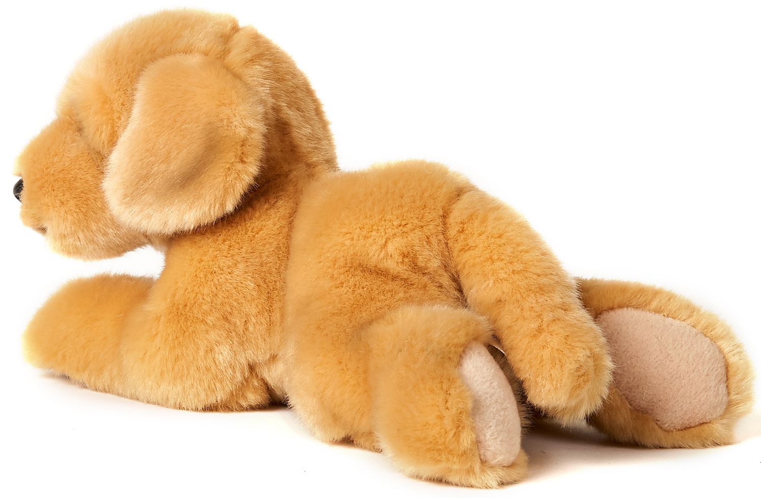 Golden Retriever plysdyr