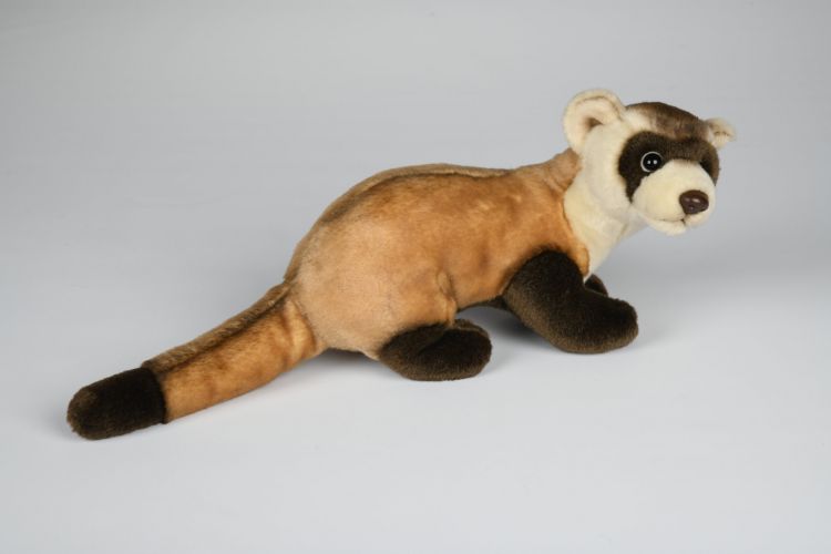 Ilder Bamse Hovedbillede