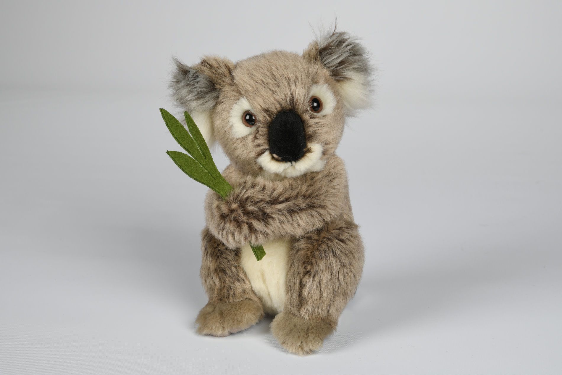 koala bamse Hovedbillede