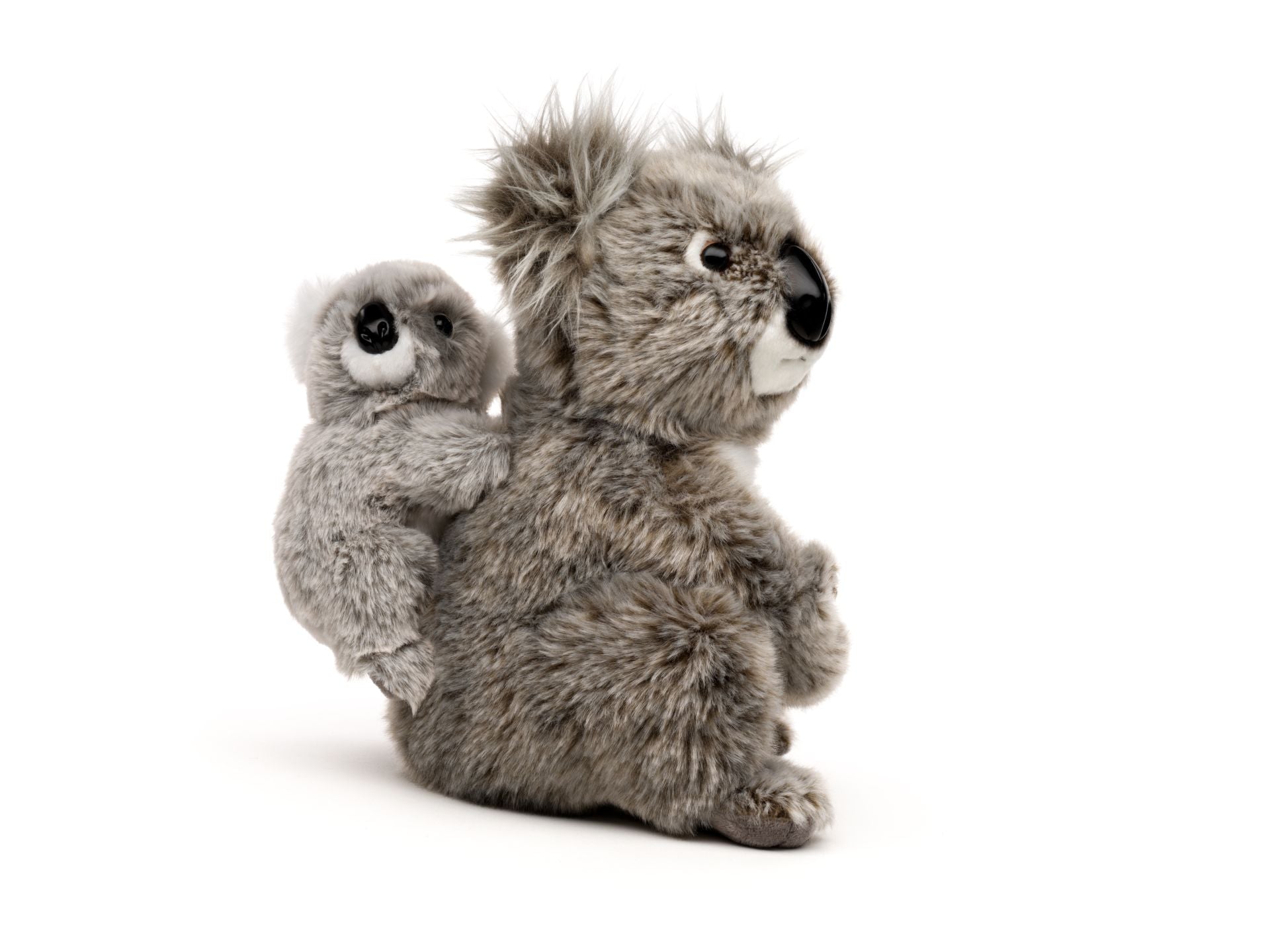 koala med baby Hovedbillede