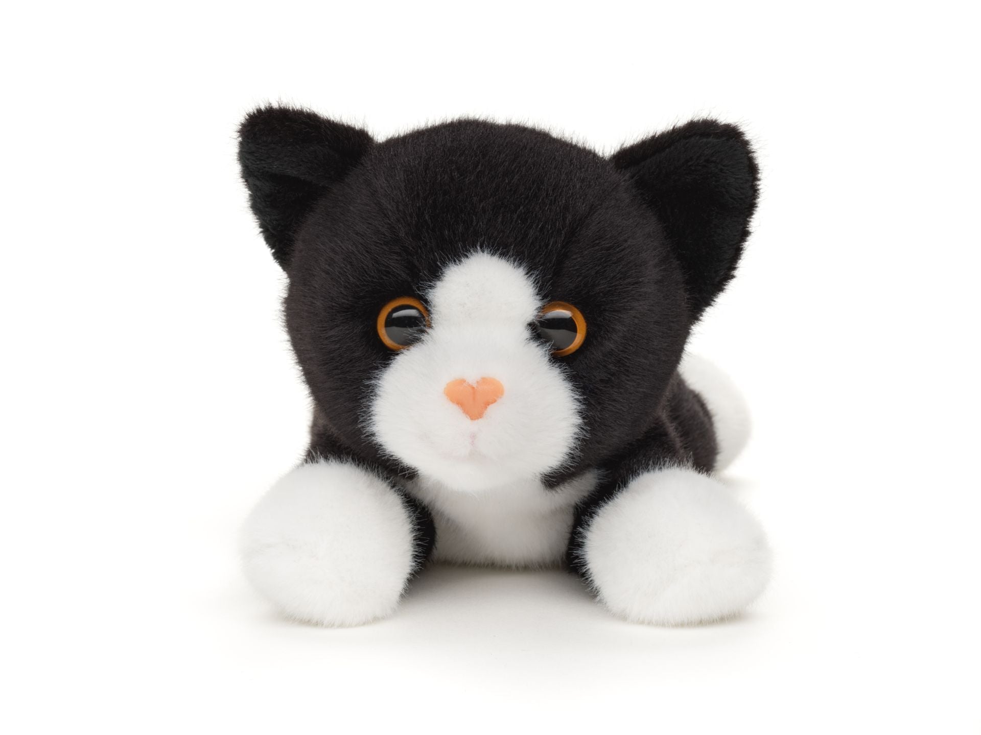 sort kat bamse Hovedbillede