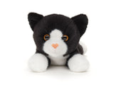 sort kat bamse