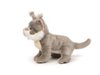 Maine Coon Kat krammebamse