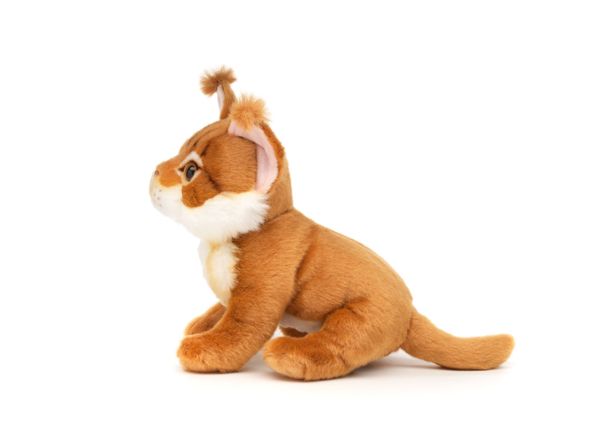 Uni-Toys Maine Coon Kat Bamse