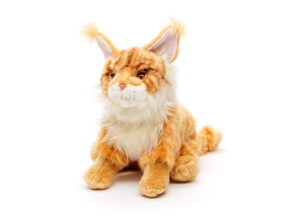 Maine Coon krammebamse