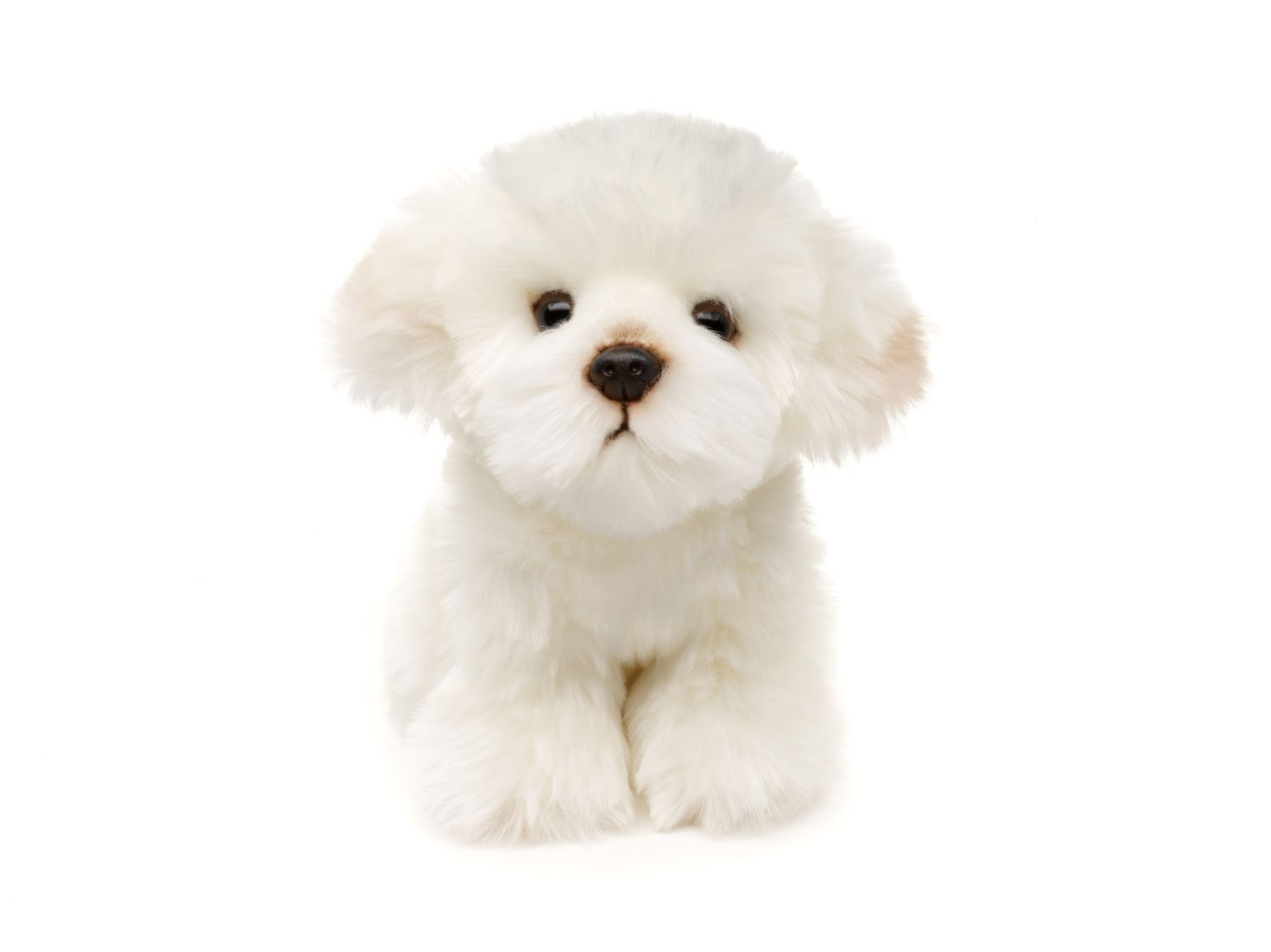 Uni-Toys Malteser Hund 18 cm (HM018123), Eco-Friendly Sekundært billede