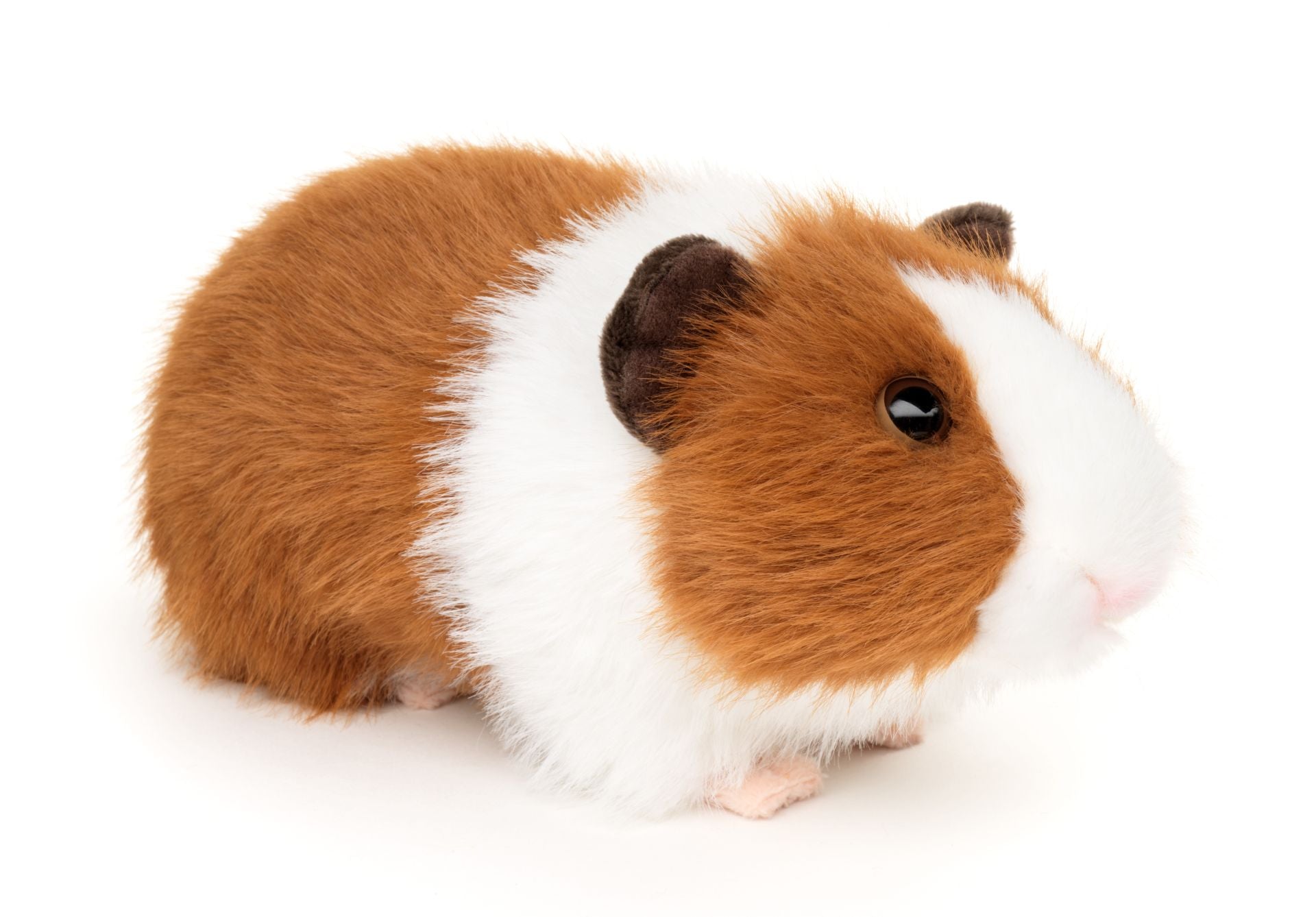 marsvin krammebamse Hovedbillede