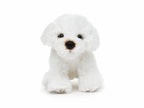 Bichon Bamse 