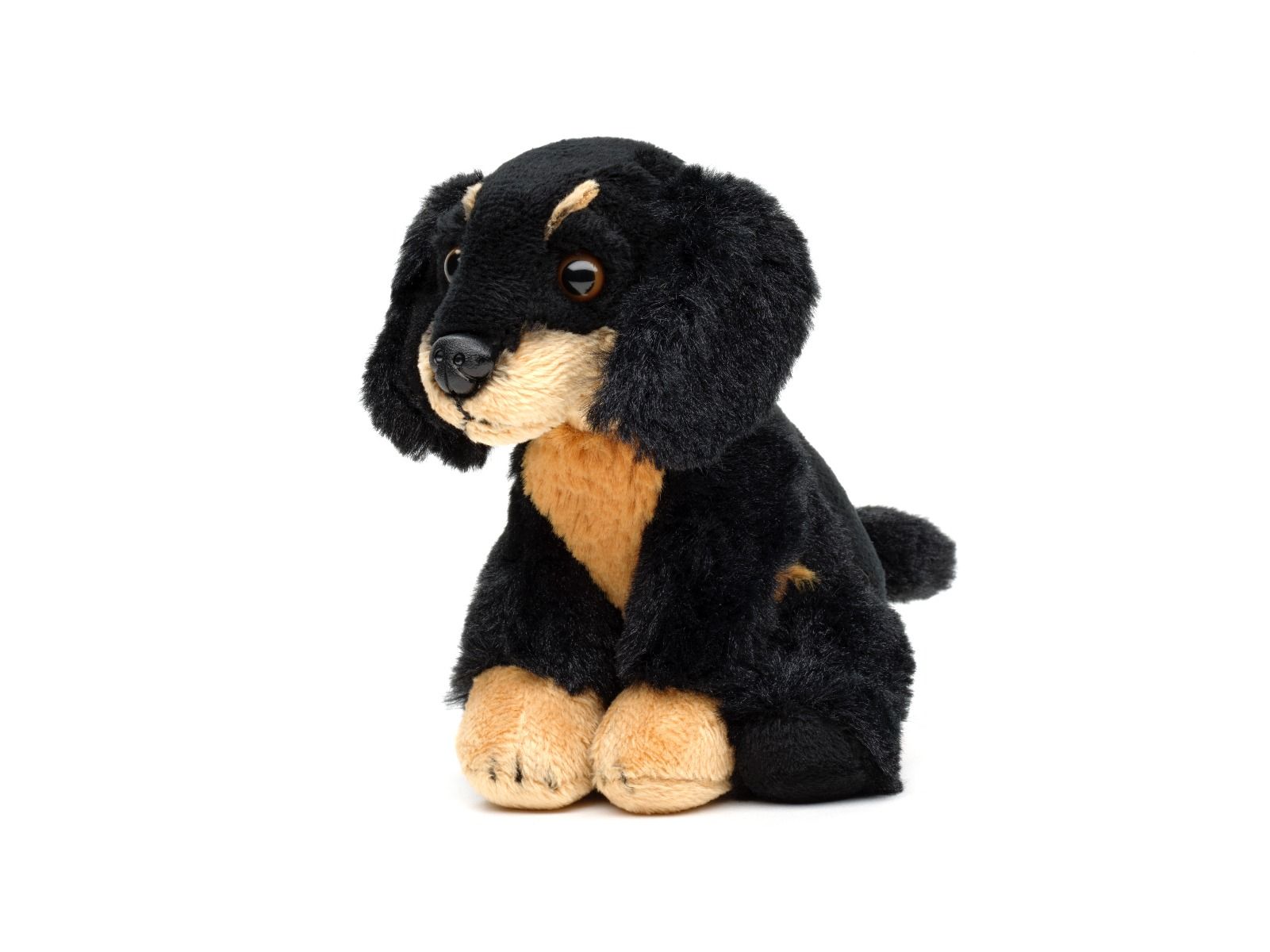Gravhund bamse Hovedbillede