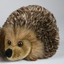 pindsvin bamse