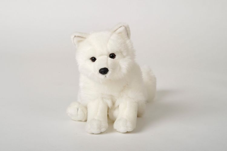 Polarræv Bamse Hovedbillede