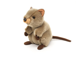 Quokka bamse