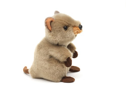 Quokka tøjdyr