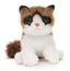 Ragdoll Kat Bamse