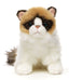 Ragdoll Kat Bamse