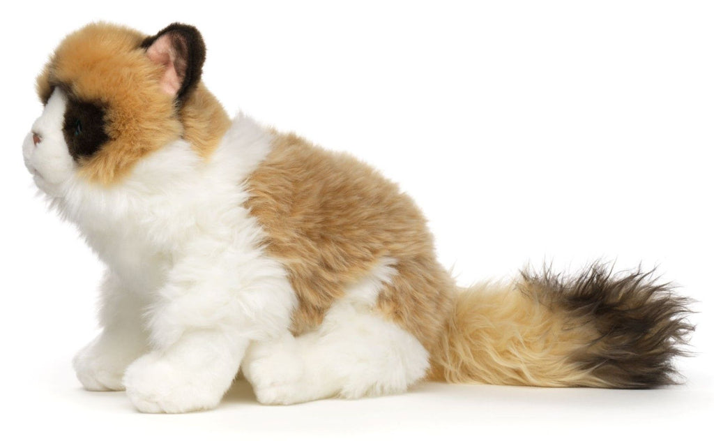 Ragdoll Kat plysdyr