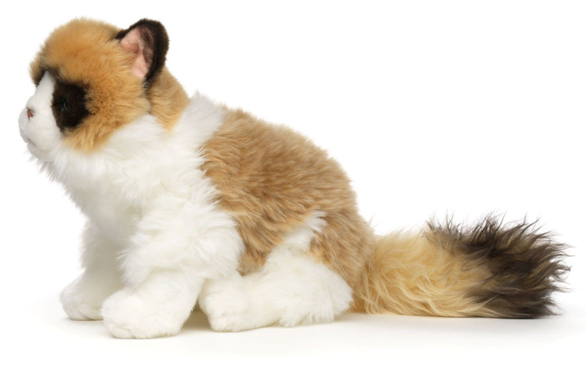Ragdoll Kat plysdyr