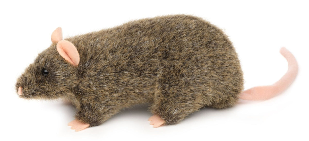 Rotte plysdyr