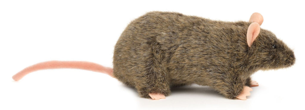 Rotte krammebamse