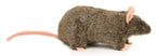 Rotte krammebamse