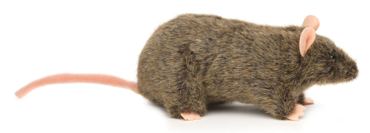Rotte krammebamse