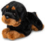 Rottweiler Bamse