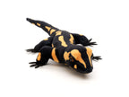 Salamander tøjdyr