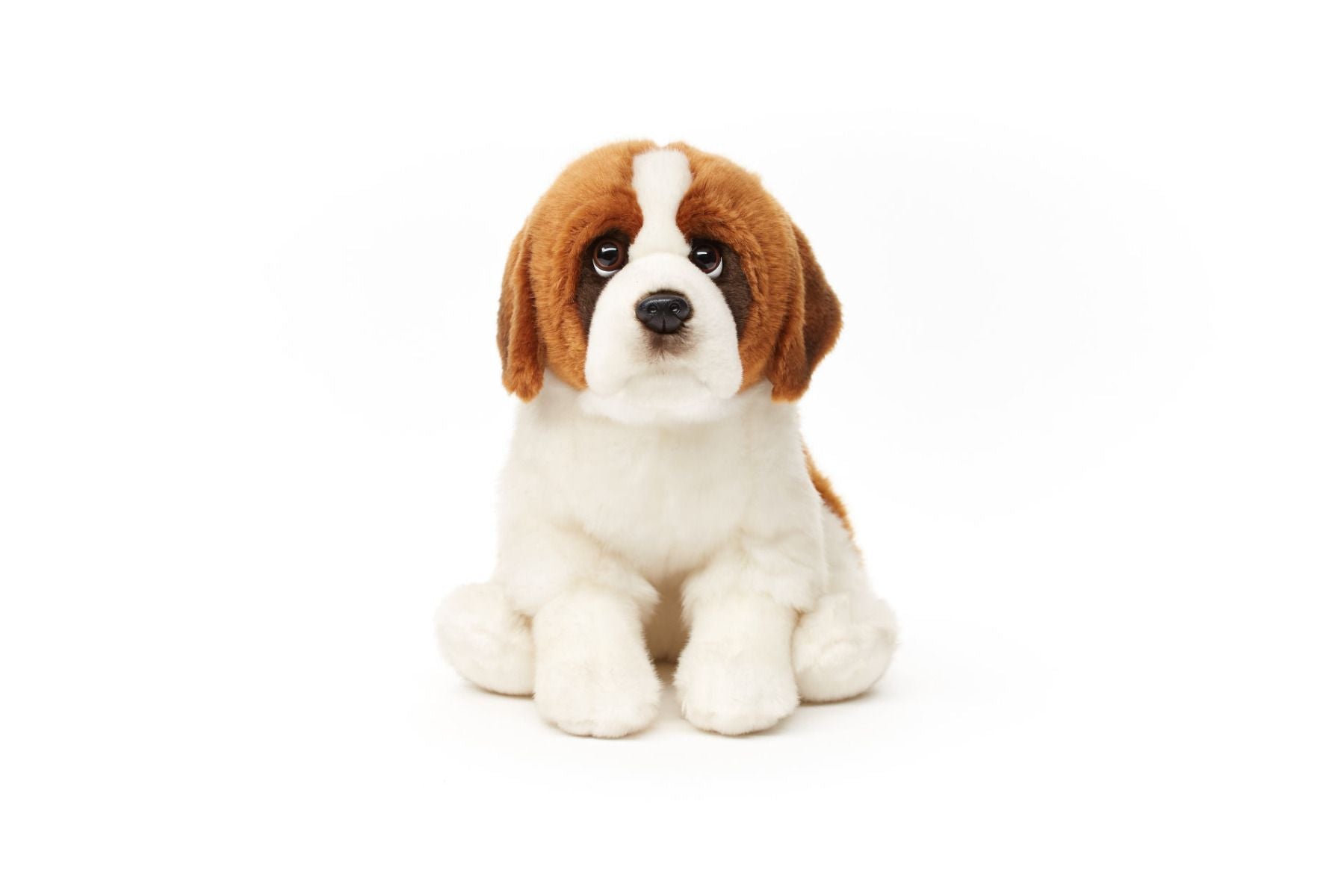 Sanktbernhardshund bamse Hovedbillede