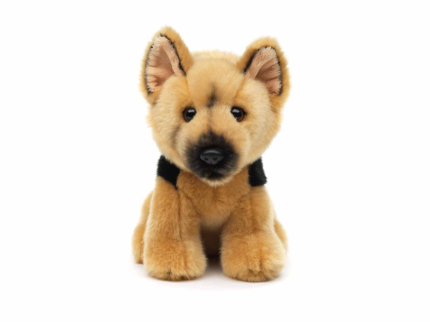 Schæferhund bamse Hovedbillede