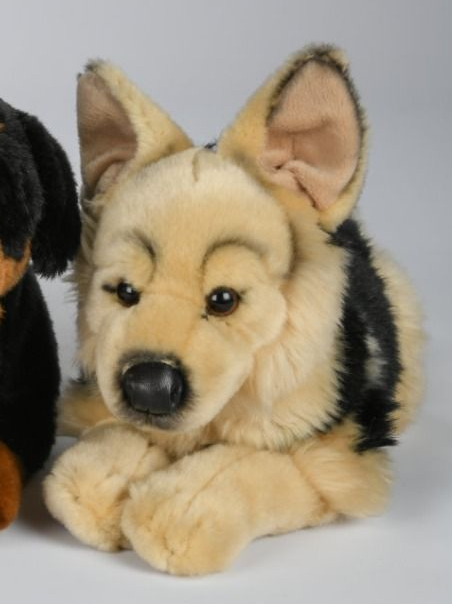 Schæferhund bamse Hovedbillede