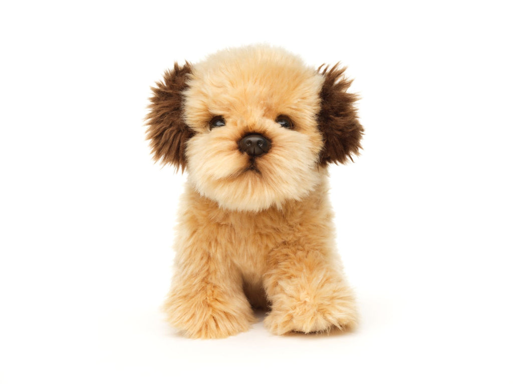 Shih Tzu bamse