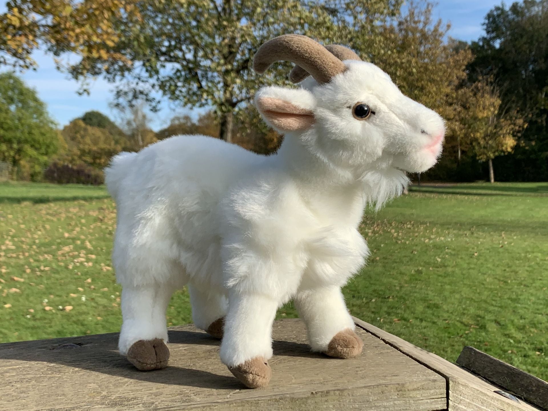 Bjergged Bamse  Hovedbillede