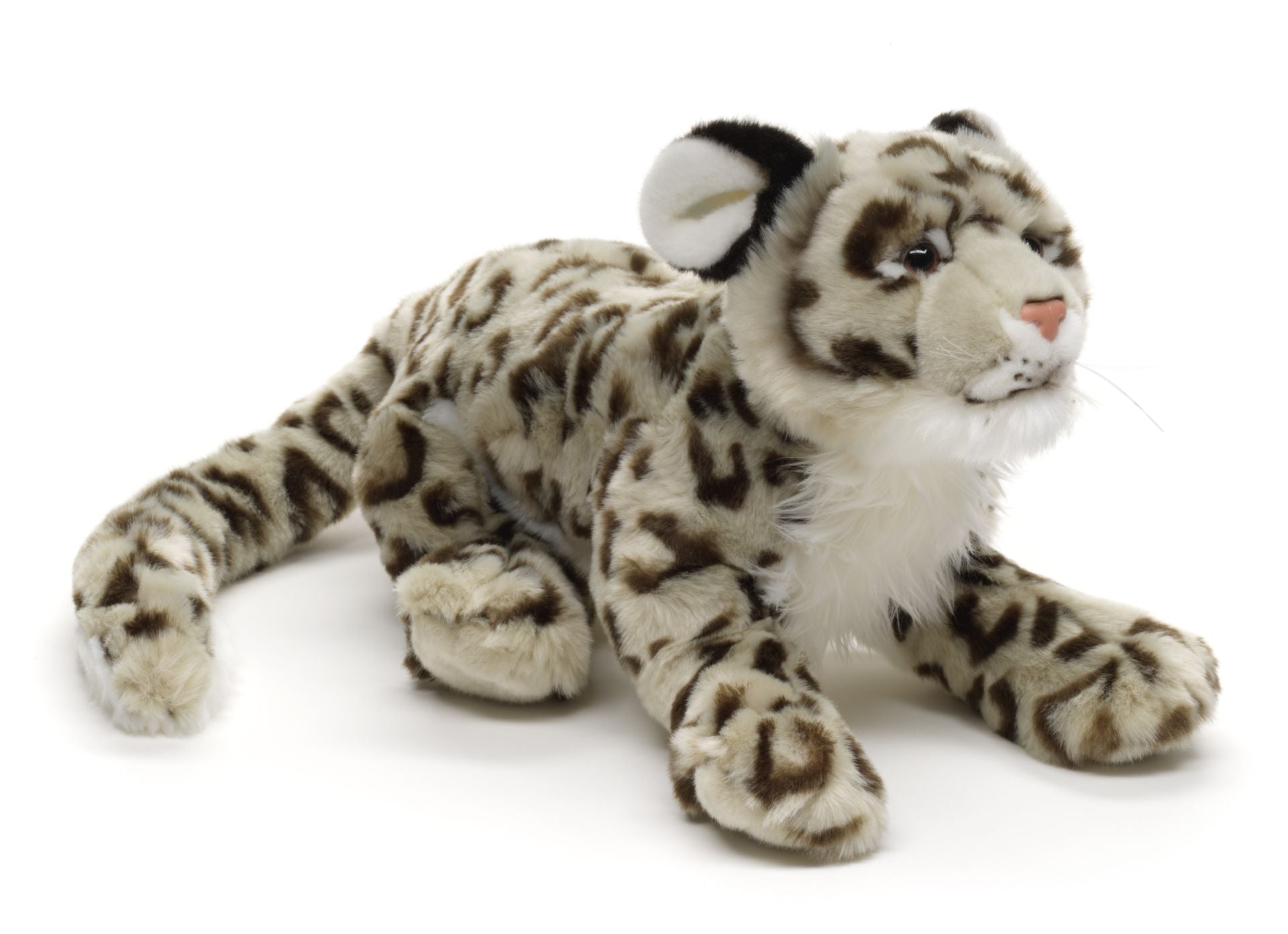 Sneleopard Bamse Hovedbillede