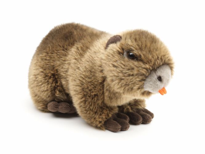Uni-Toys Sumpbæver Bamse 22 cm (Q90663) Sekundært billede