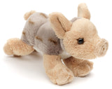 Vildsvin bamse 