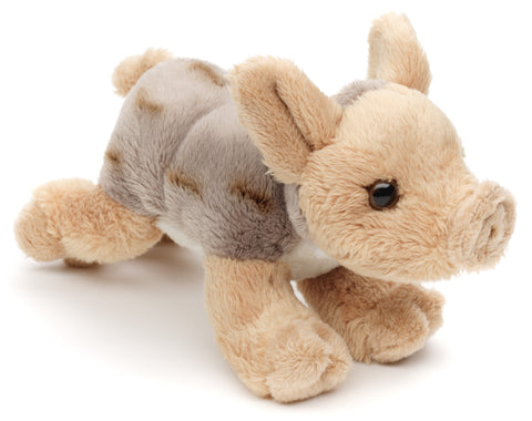 Vildsvin bamse 